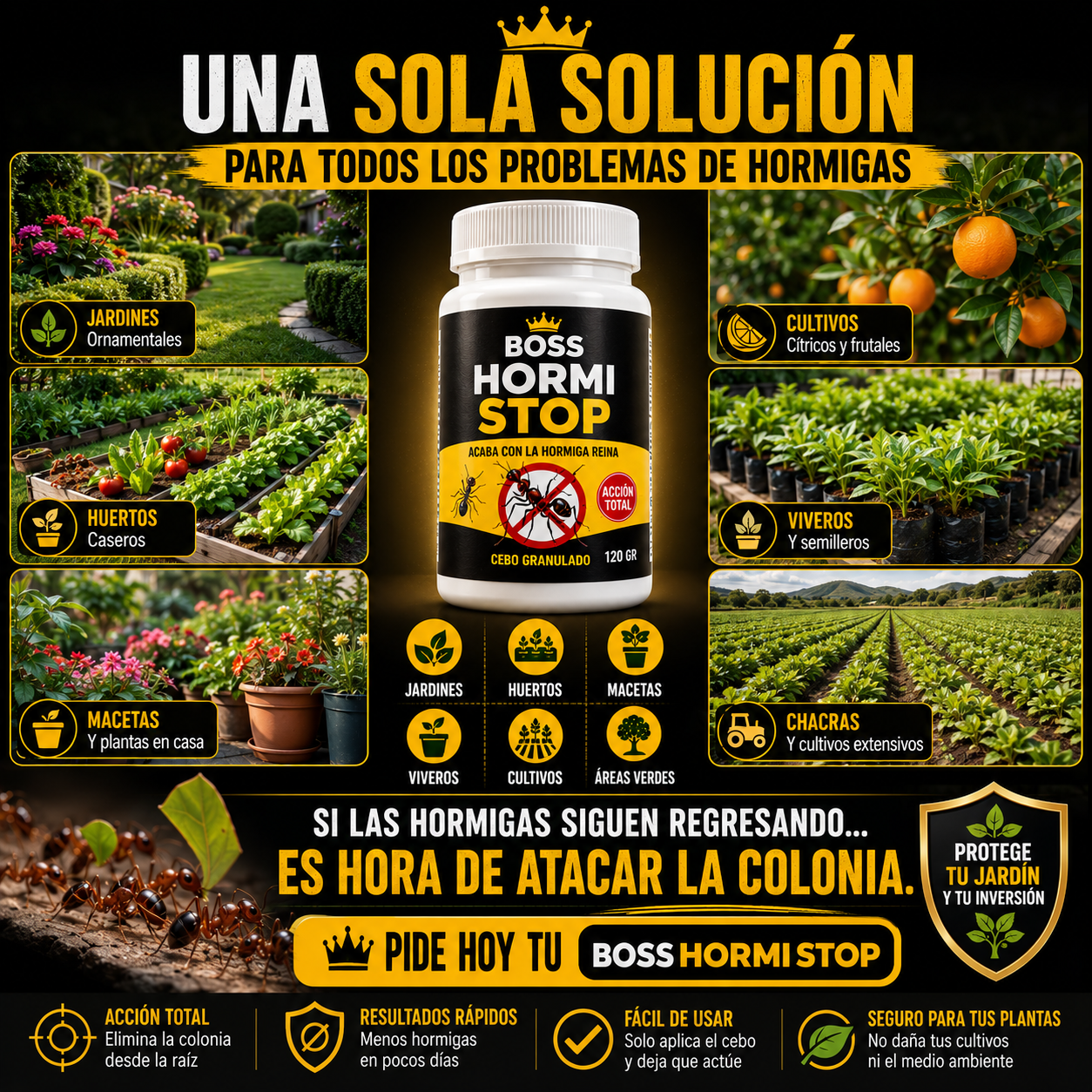 Boss Hormi Stop-El Mejor Eliminador de Hormiga