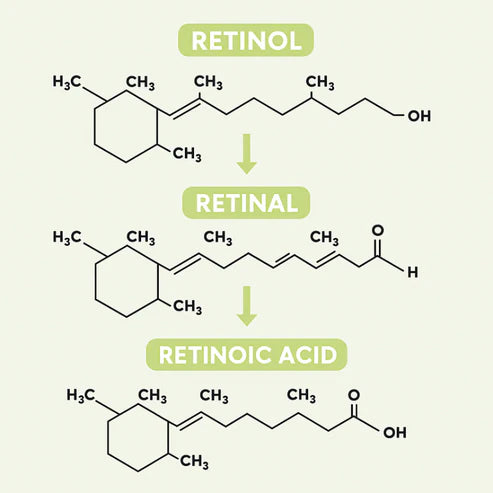 Retinal Shot –Efecto piel firme tipo lifting sin agujas