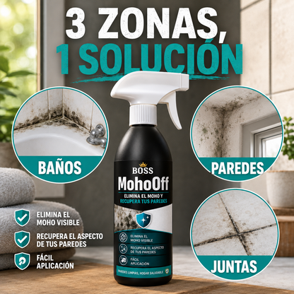 MohoOff – Elimina el Moho y Recupera tus Paredes
