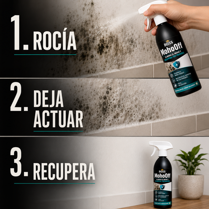 MohoOff – Elimina el Moho y Recupera tus Paredes
