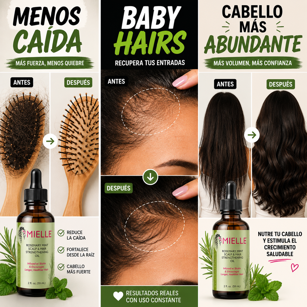 Mielle Rosemary Oil – Reduce La Caída Y Estimula El Crecimiento