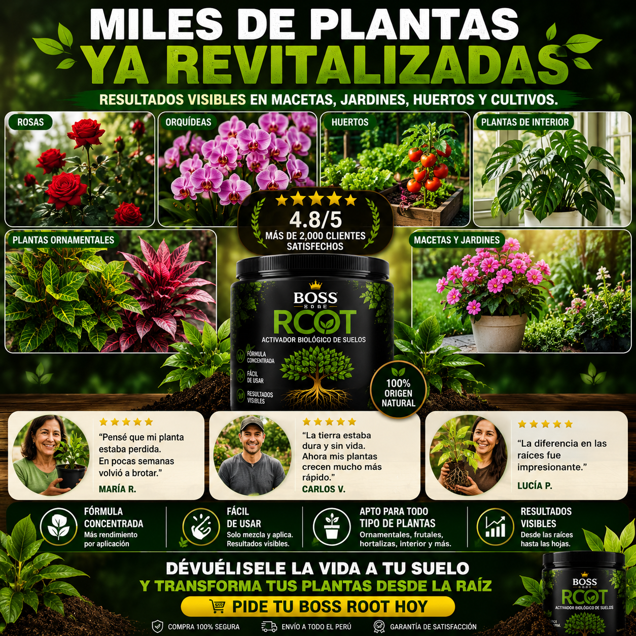 Boss Root-Recupera Tus Plantas Desde la Raíz