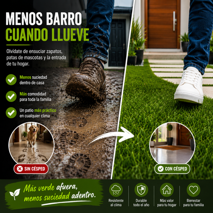 Boss Esmeralda-La Alfombra Verde De Tu Hogar