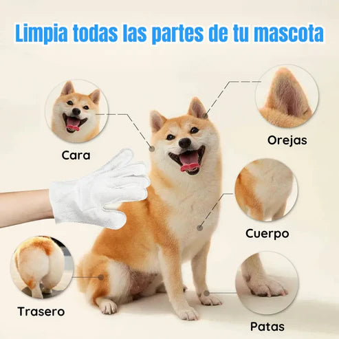 Boss-Guantes de Limpieza y Desodorización para Mascotas
